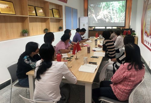 信息技術咨詢服務助力黨建學習——圖書館信息技術部黨支部慶祝新中國成立70周年主題黨日活動紀實